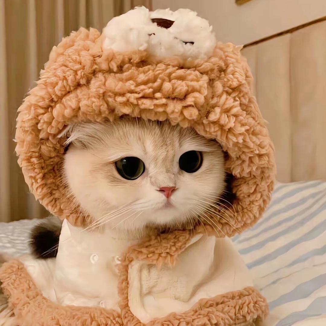 苏蓉