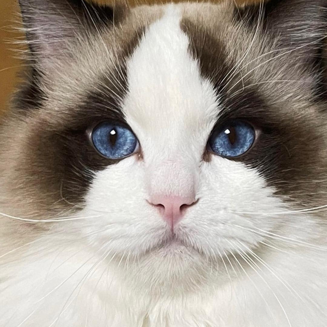 handsome