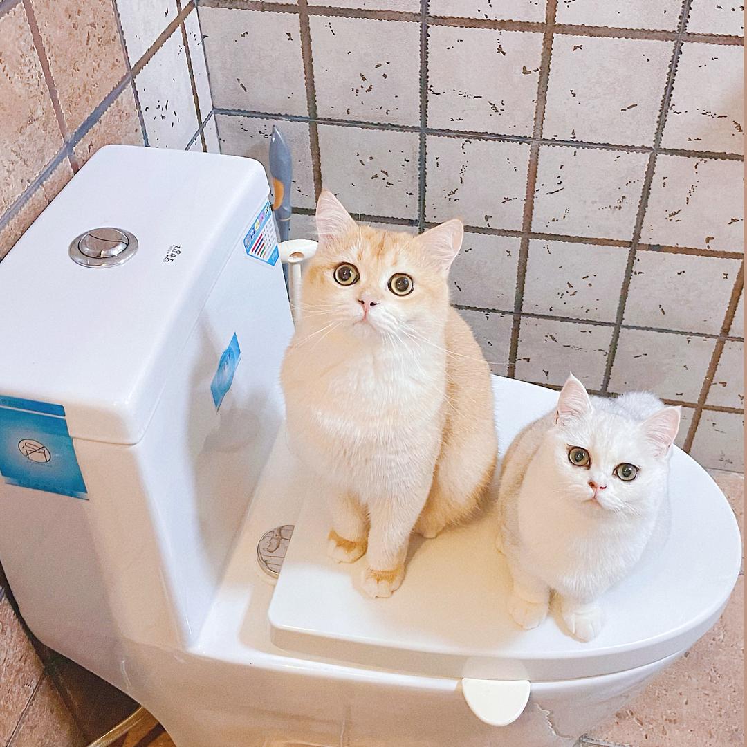 苦瓜哥哥