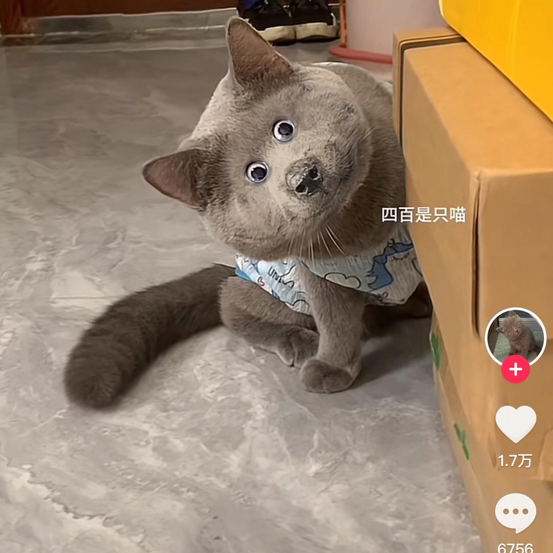 开宾馆的小慧（呼伦贝尔）
