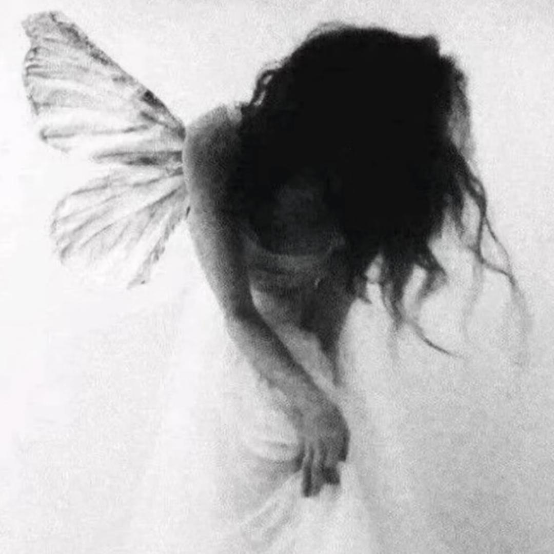 𝐀𝐞𝐢𝐱𝐜𝐨