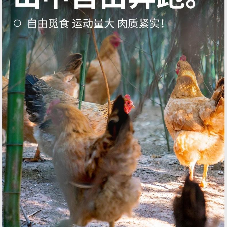 太湖特色农产品西山零售