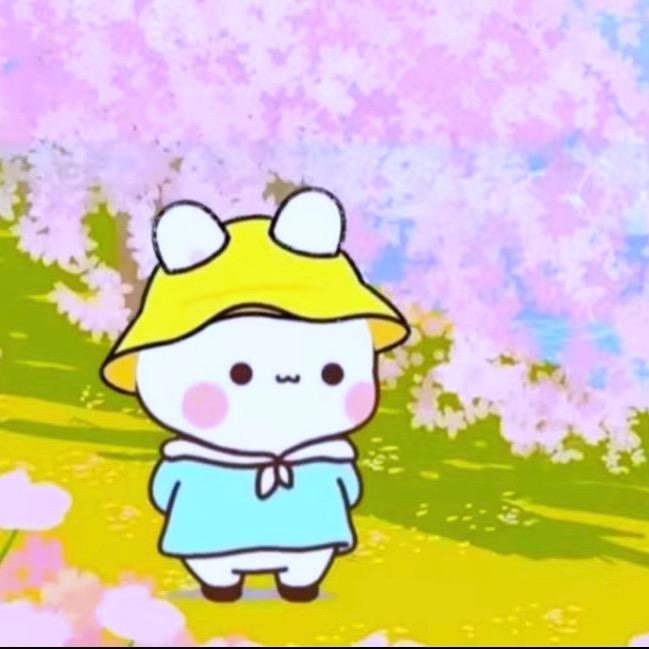 布二同学