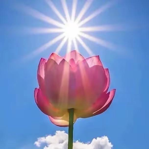 ^_^我心向阳☀️