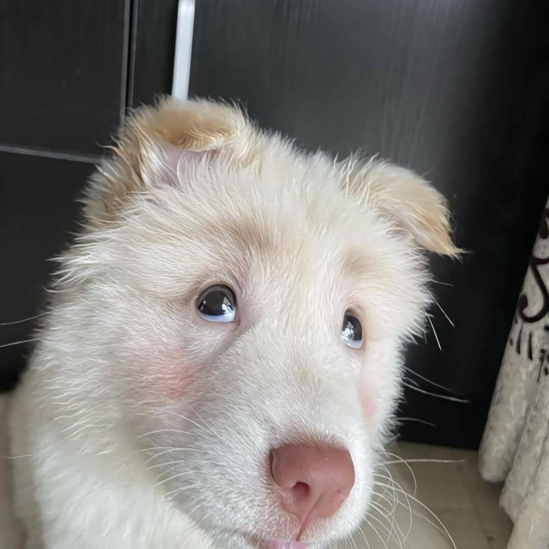 别惹我哈