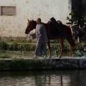 一群隐居大理的交易员
