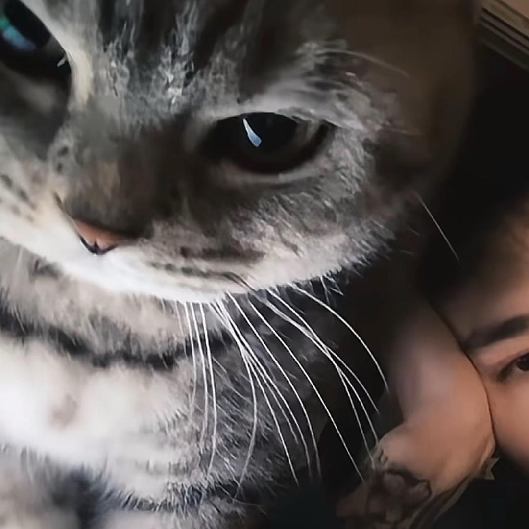 莫愁（再次重生我怎么又到工厂打螺丝了）