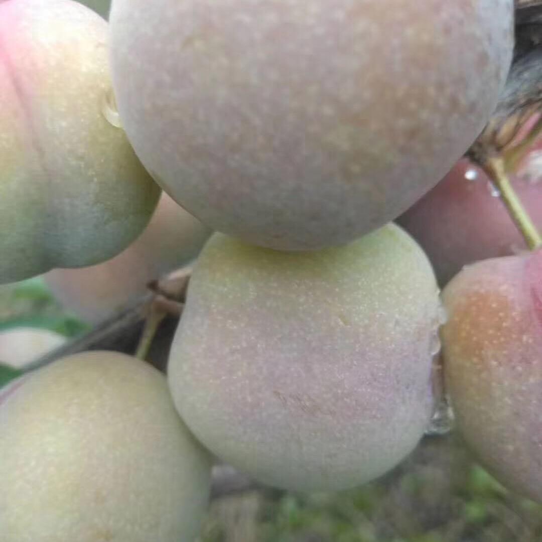 有钱难买我开心