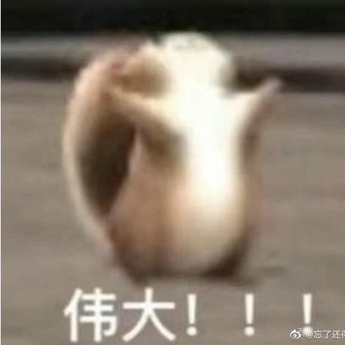 哈士奇不是狼！