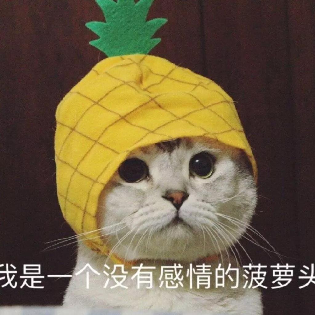 💞 小七睡不抱