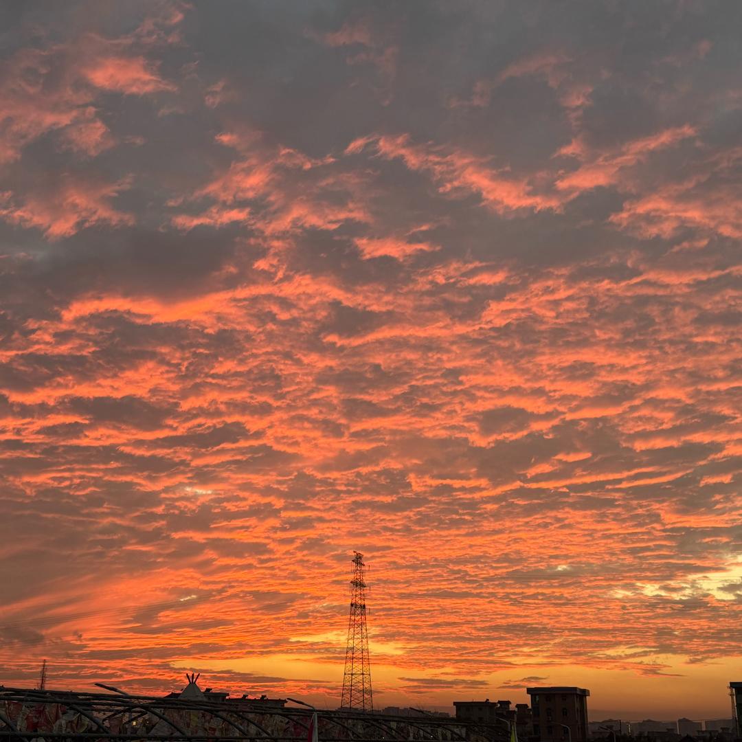 星动部落小张同学