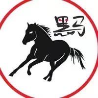 守艺人黑马1号