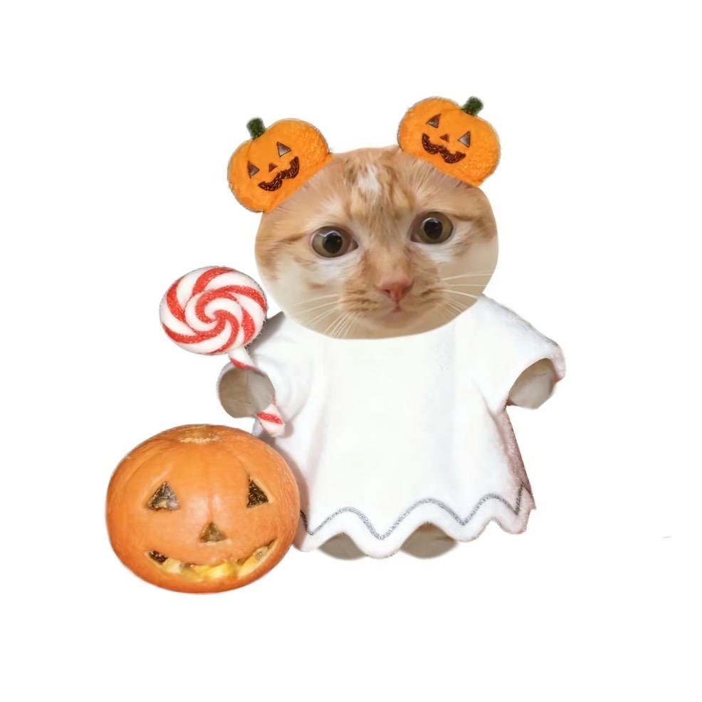 喆姐你说句话..