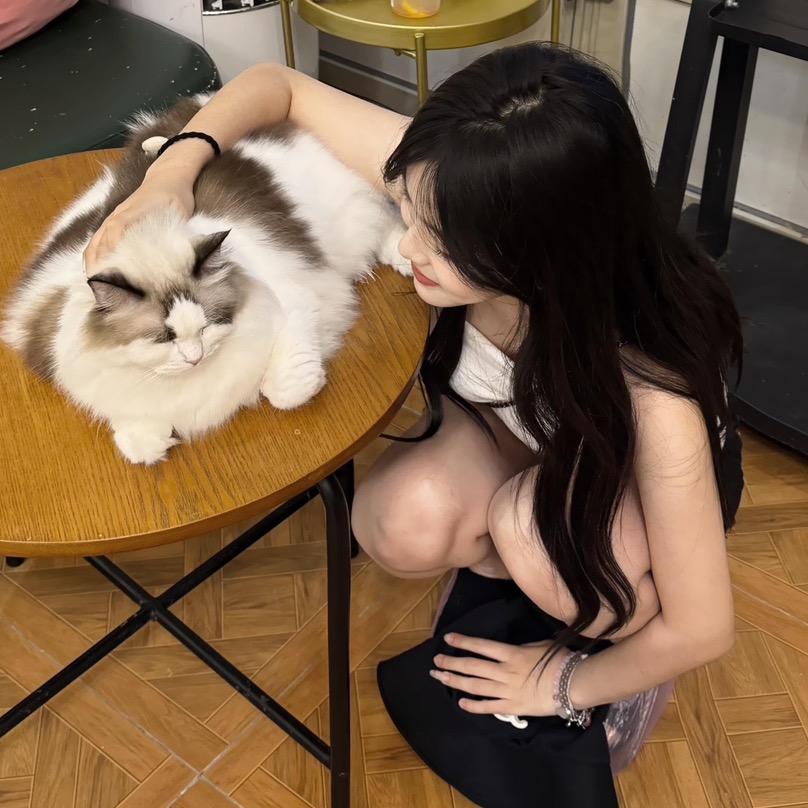 半糖小贝