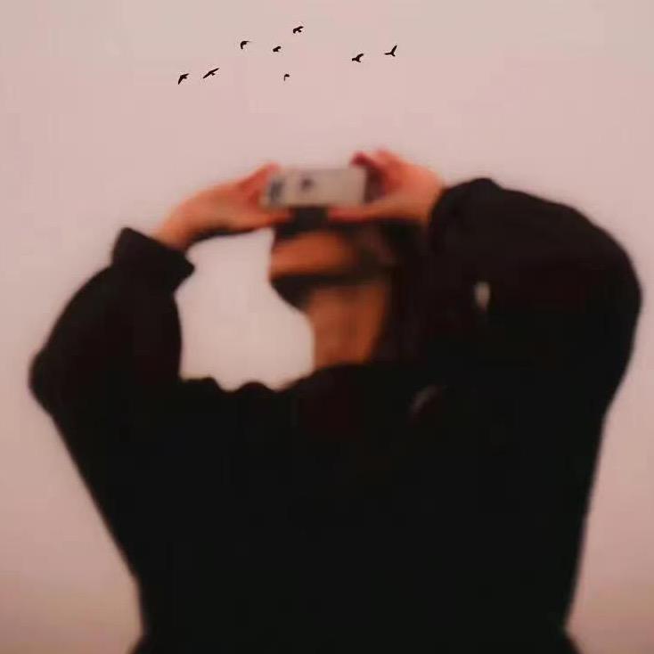 禾泠读书