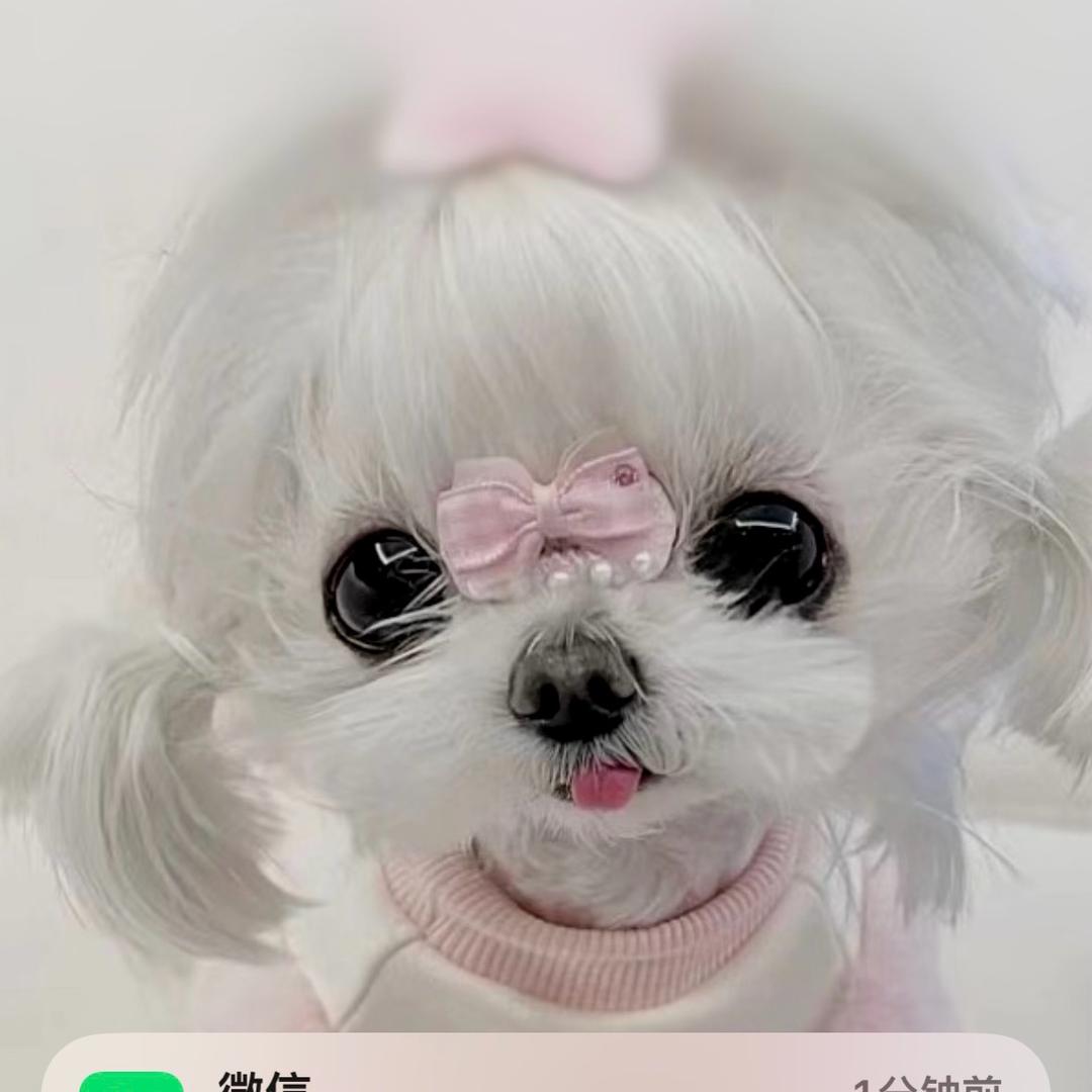 小丽呀❤️