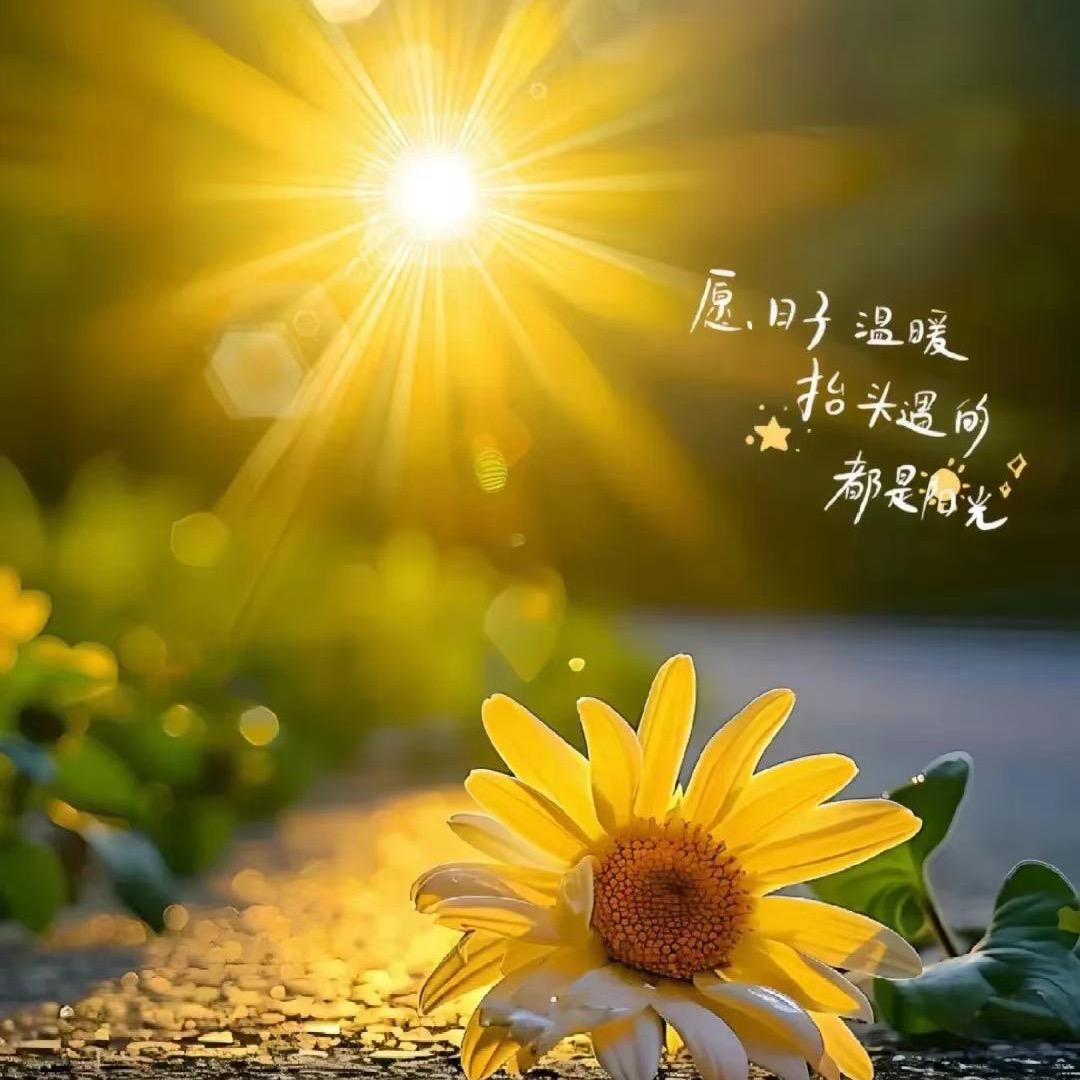 娜姐💕