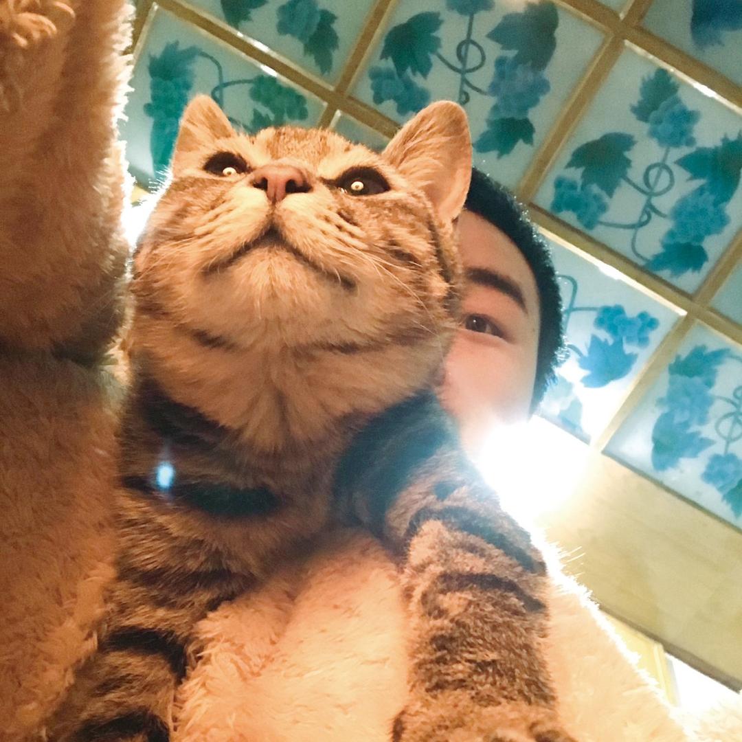 许第周