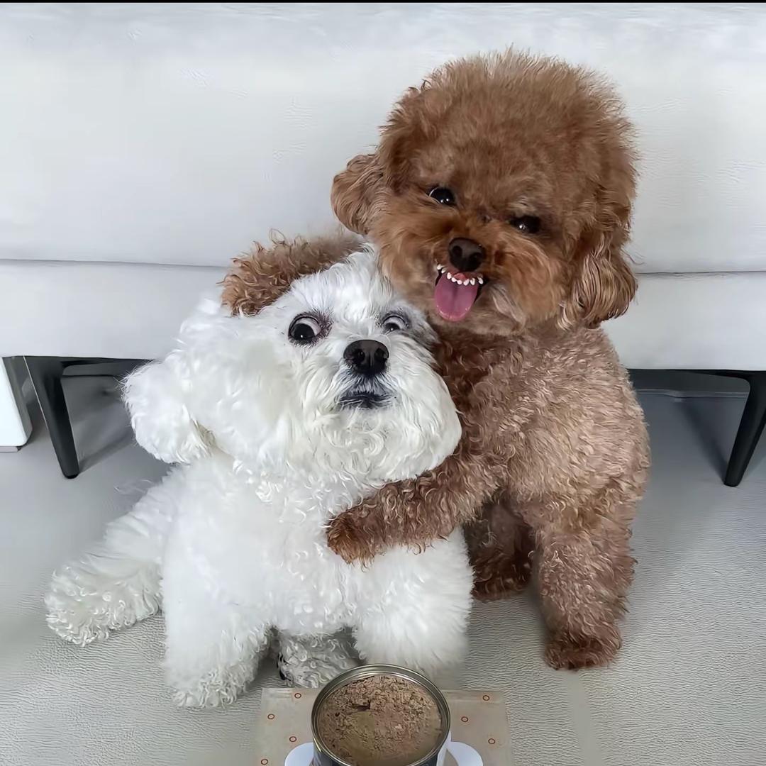 ⭐