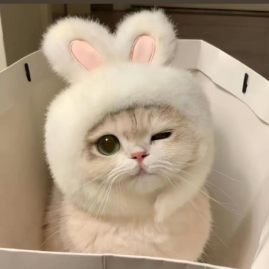 叫什么都觉得不好听