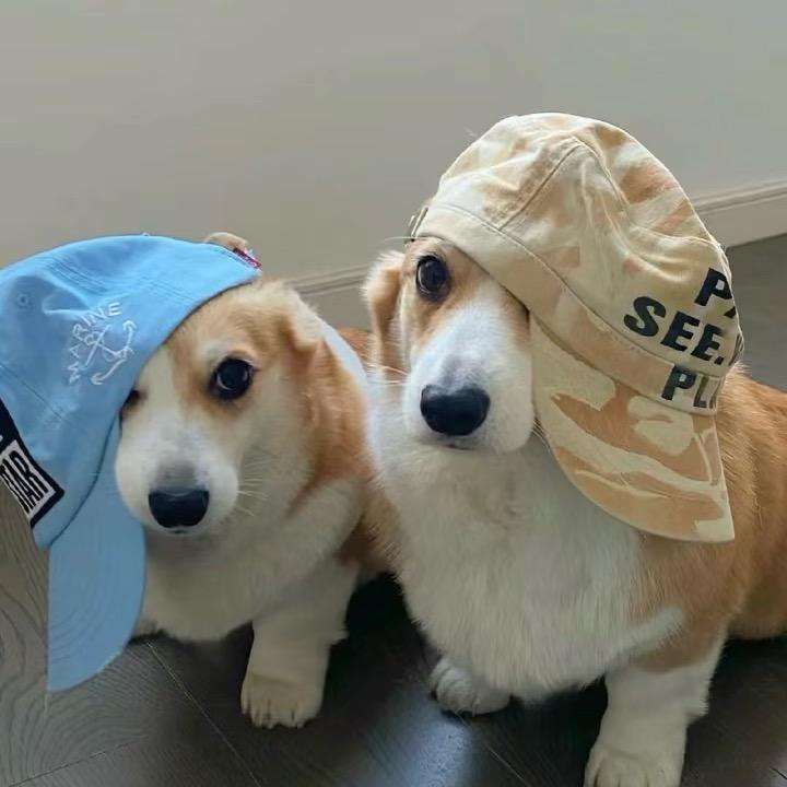 没必要停留.