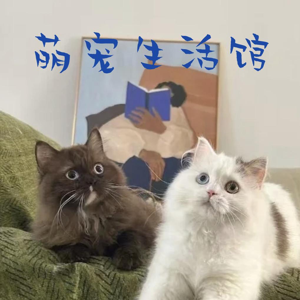 萌宠馆（陈店总店）