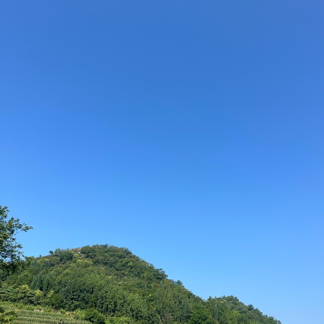 风云际会