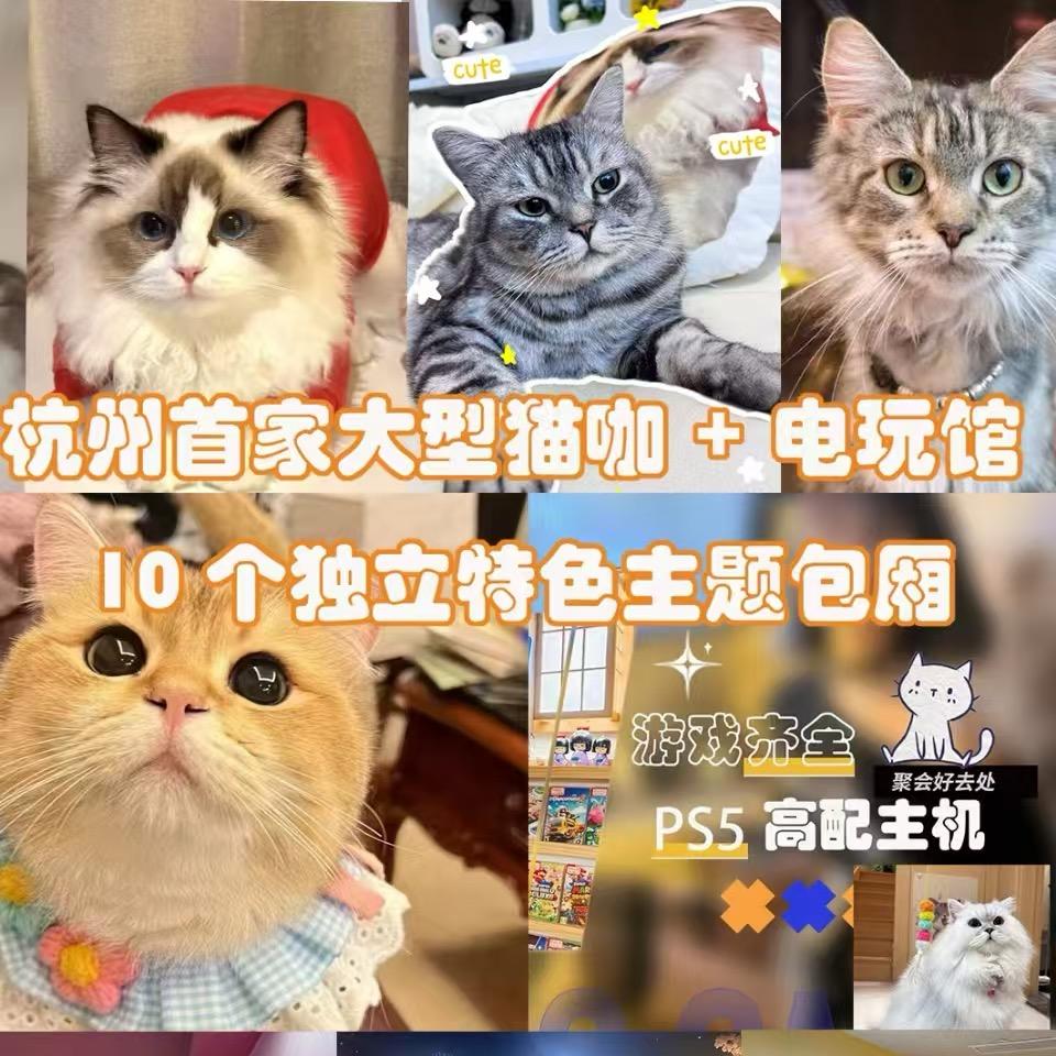 诚伴时光猫咖