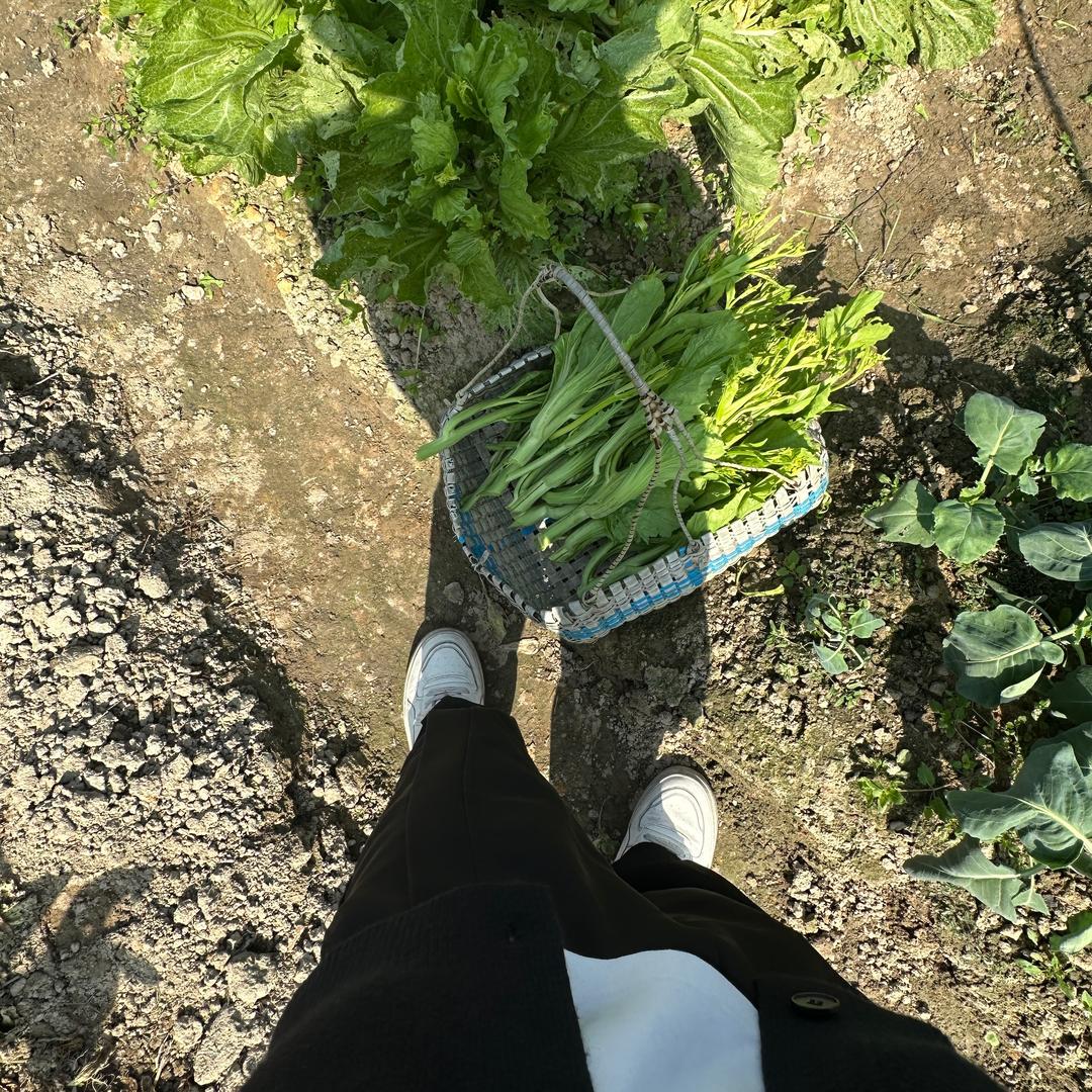 后与