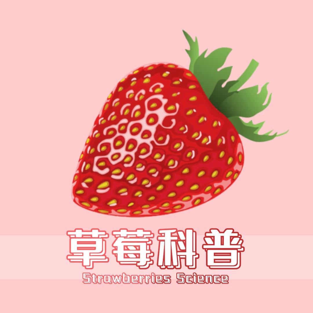 草莓科普