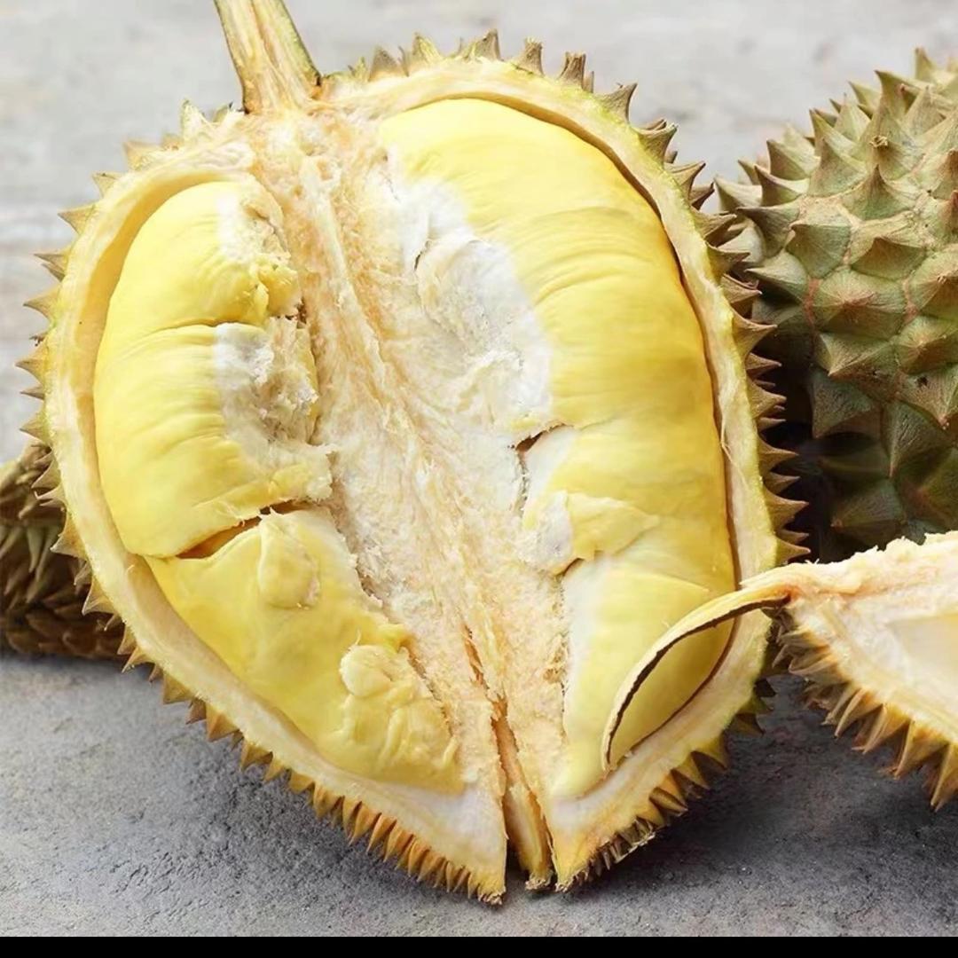 叶子泰国榴莲批发