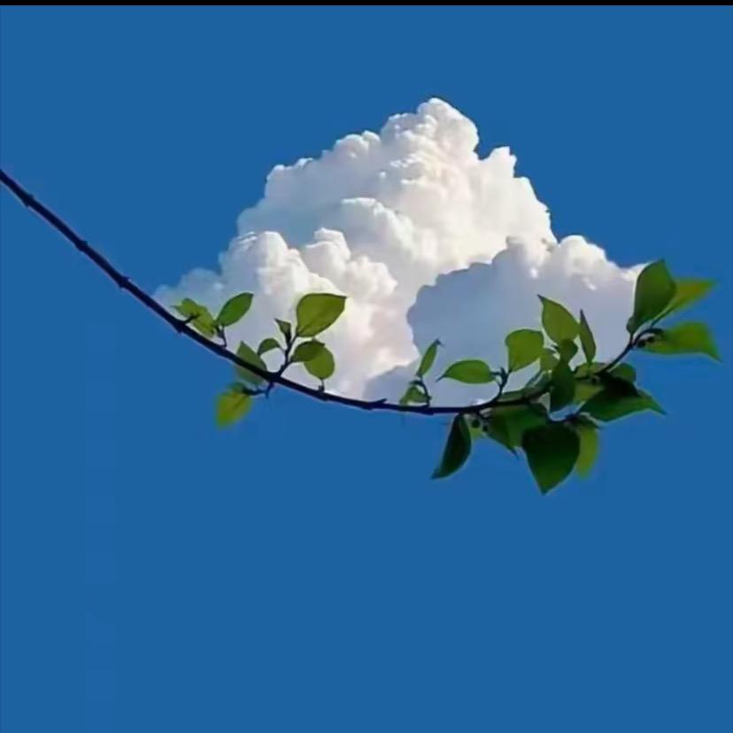 🎈1️⃣气球11🈳️依依🎈不用等