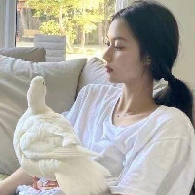 iu koi