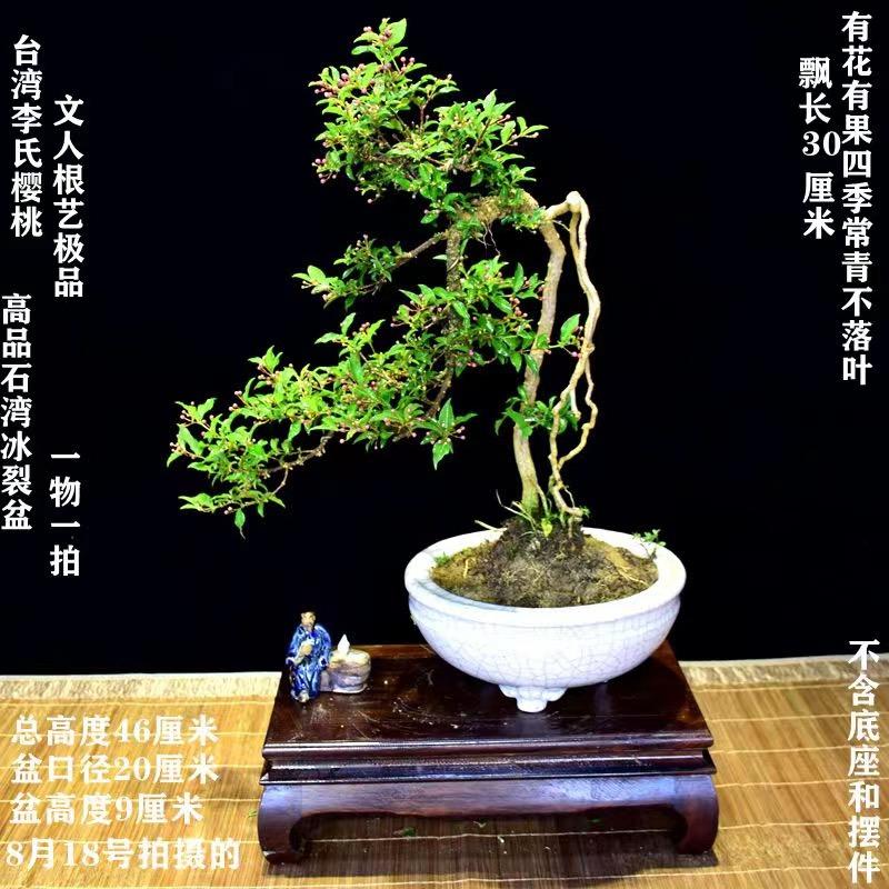 萌萌园艺