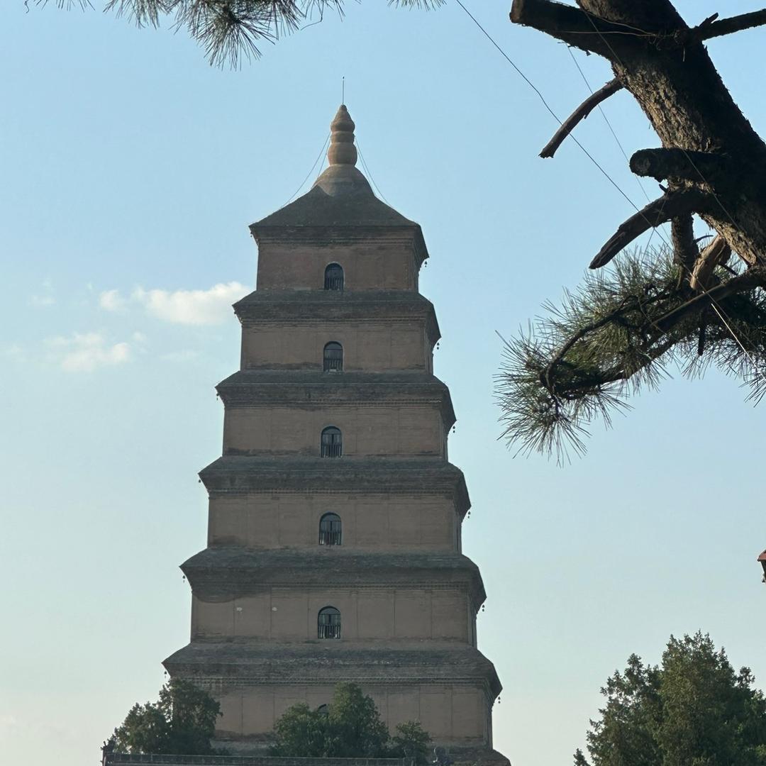 陌生人67184628461