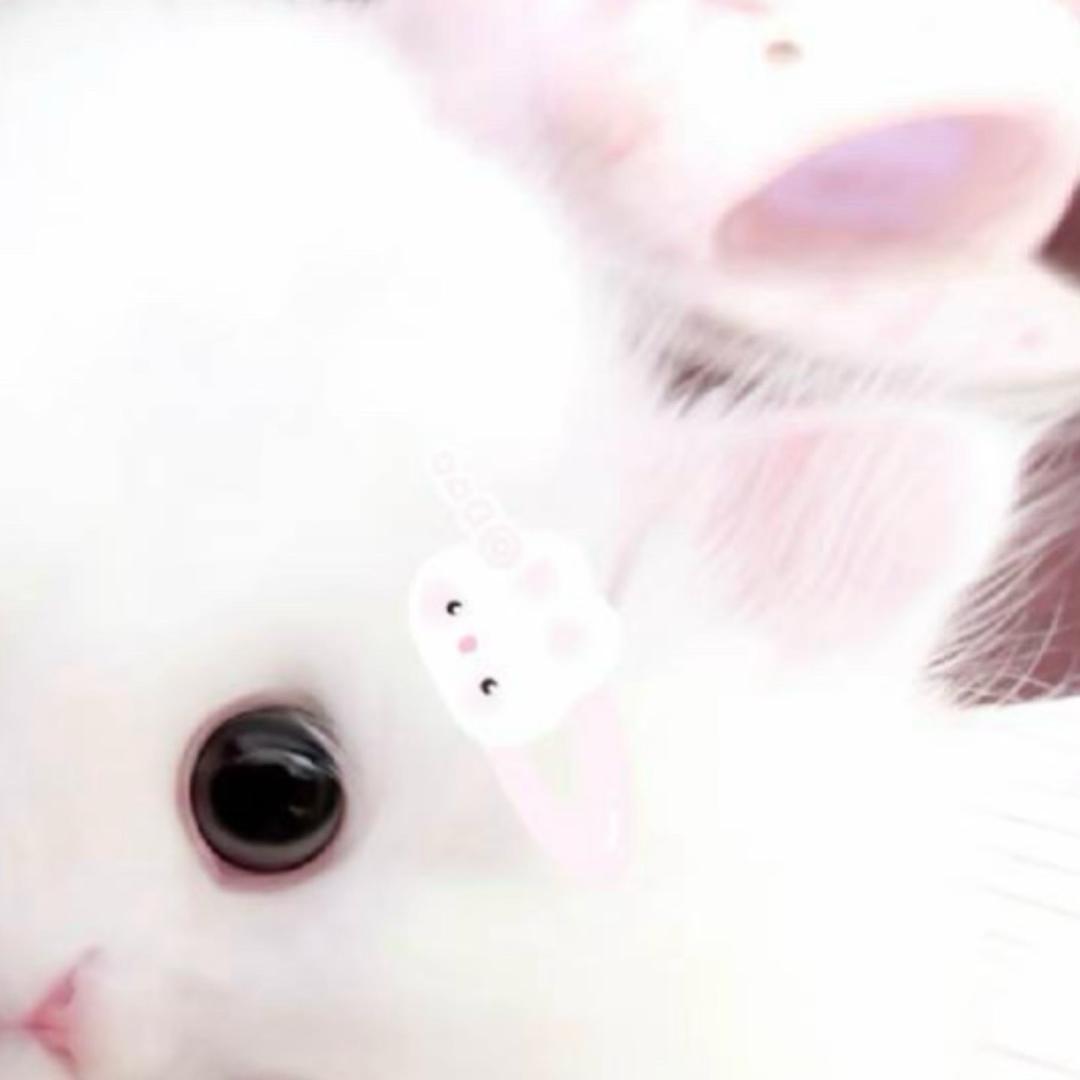艽艽控