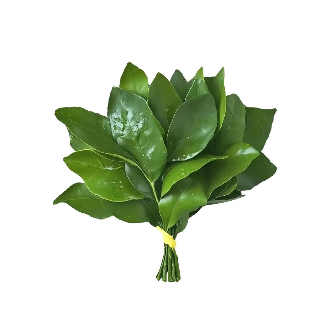 梨涡远点