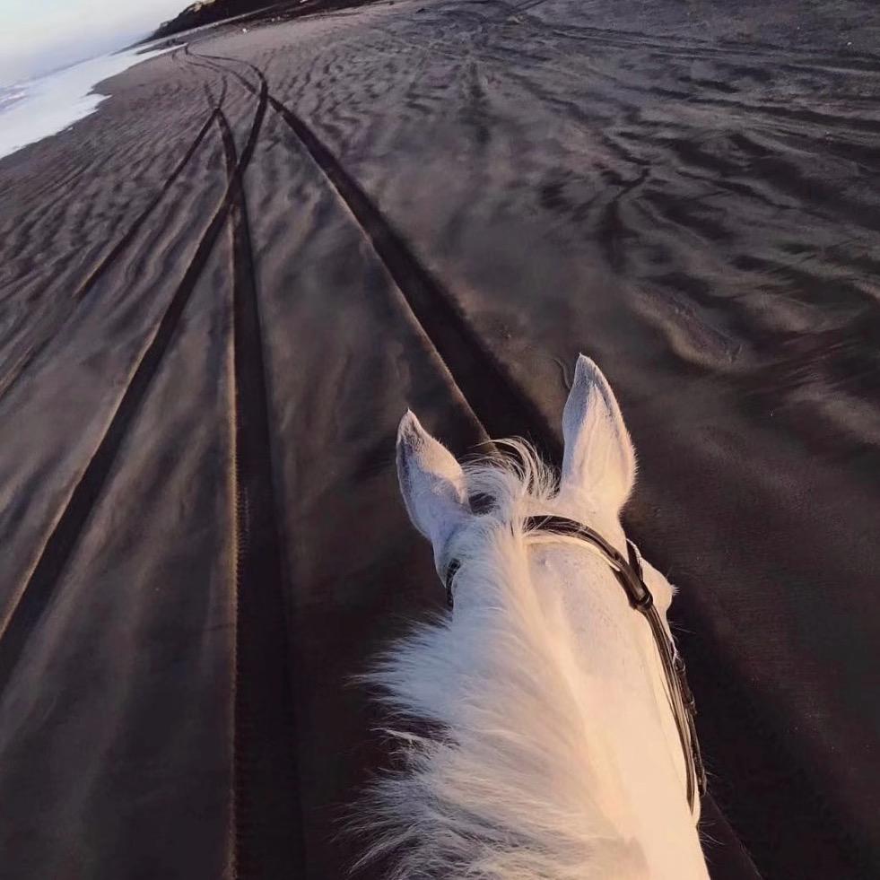 幸福路书包房咨询～张