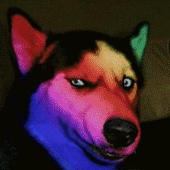 雅跖原创潮品工作室