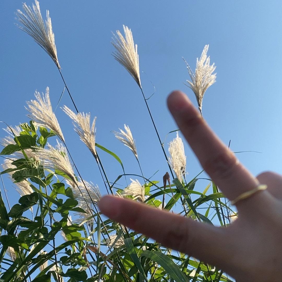 重见天日