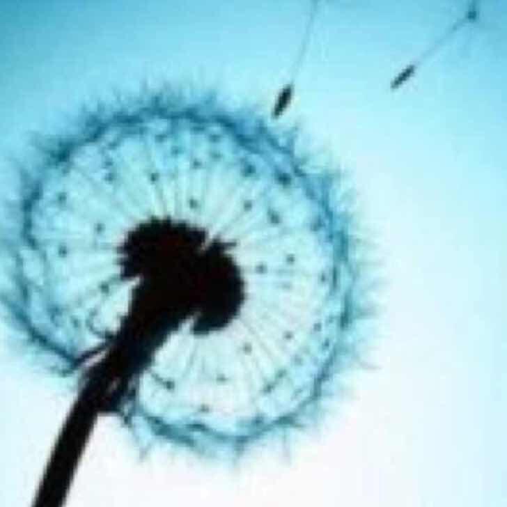 鲅鱼圈东城怡景电信宽带