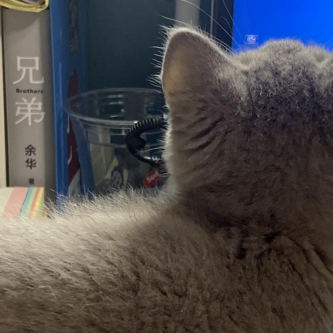 闹闹不孬