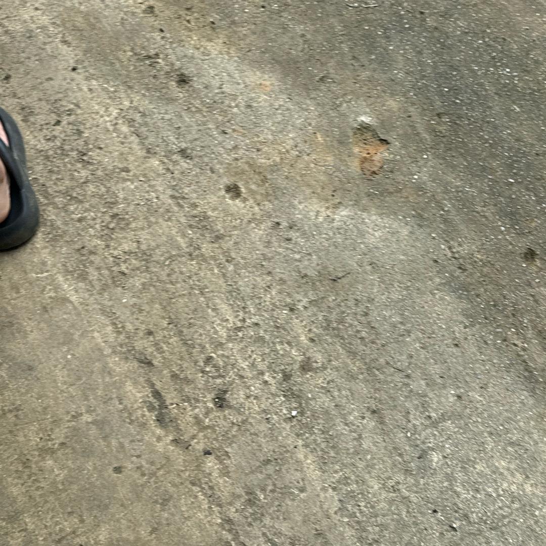 天津港