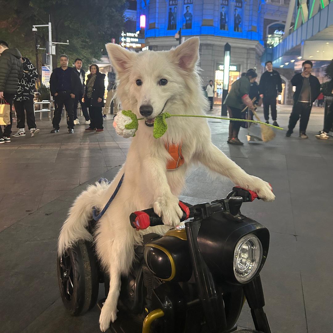 沐沐会骑车