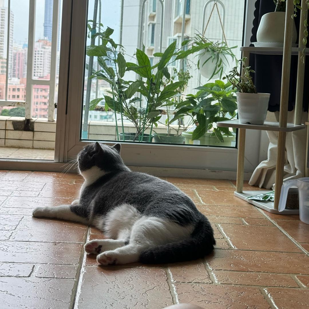 加一杯美式