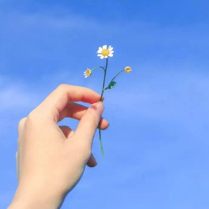 夏至吖。
