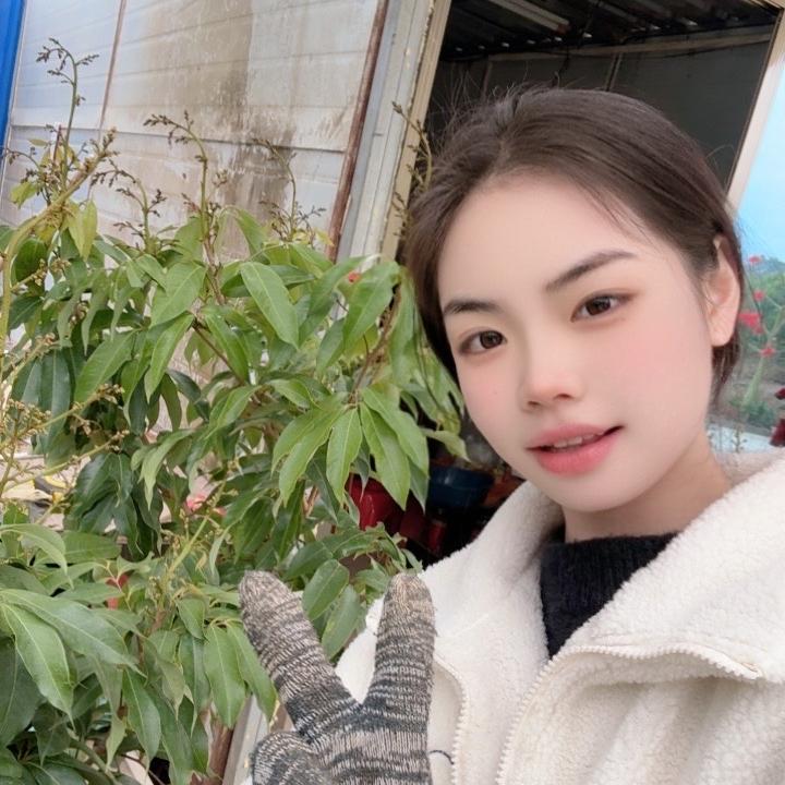 翠锦优果树苗木专营店