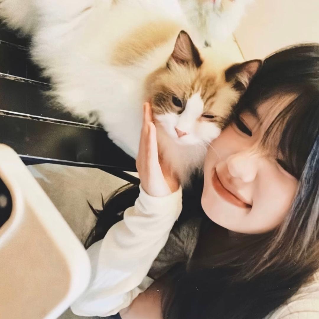 迷路小狗.