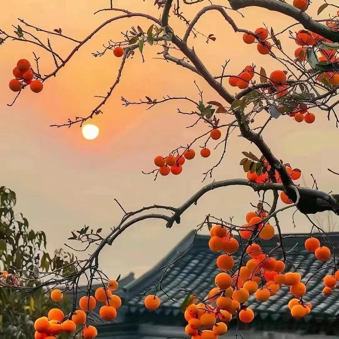 明天 你好