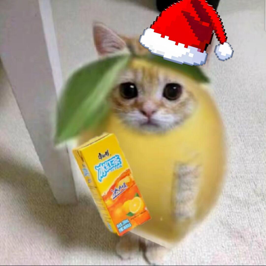 猫芒